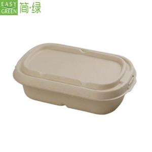 Bagasse Meal Boxes Turning Your Kitchen Waste into Nutrient-Rich Soil