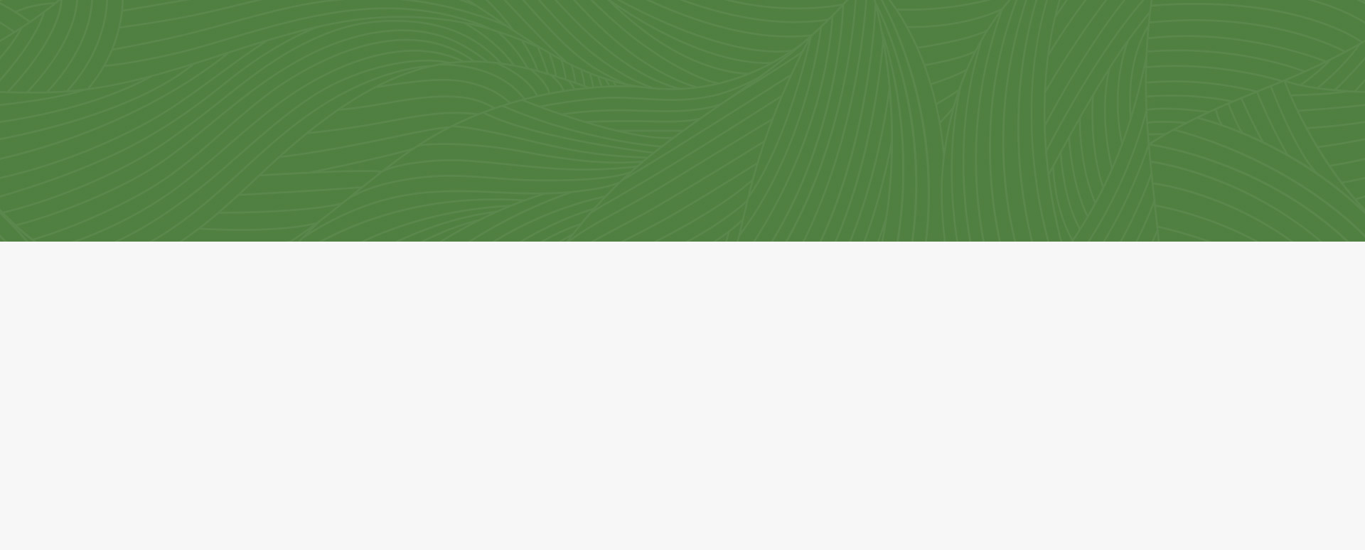 Importance Of Eco friendly Food Packaging Wholesale To Environment