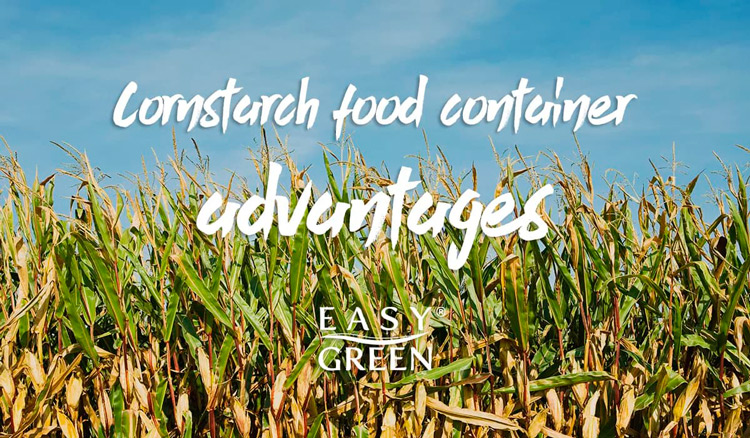 Biodegradable Disposable Containers Biodegradable Disposable Containers